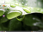 cubuntu